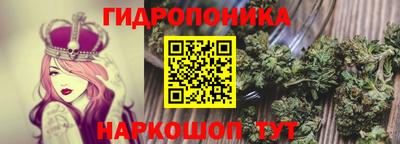 кокс Ливны